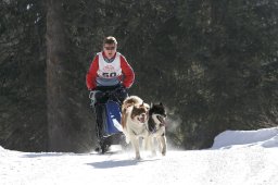 San Bernardino 2008